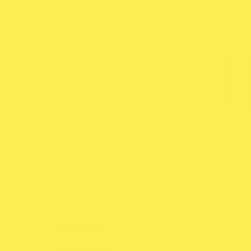 British Standard BS 4800 10-E-50 Forsythia