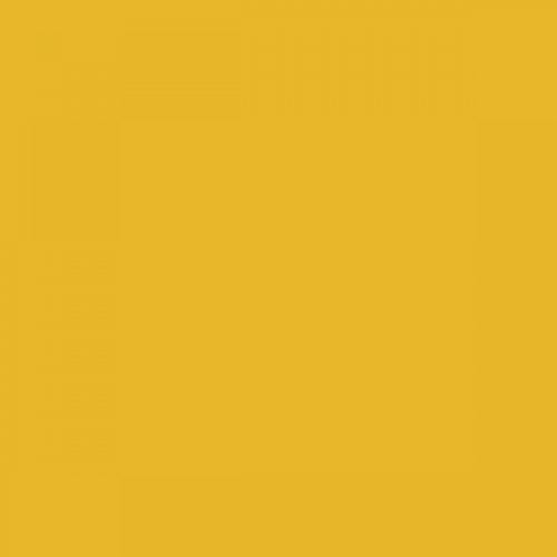 British Standard BS 4800 10-E-53 Canary