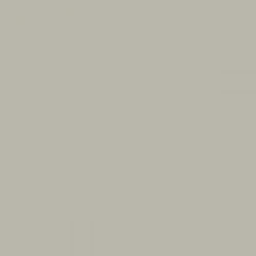 British Standard BS 4800 12-B-19 Beige