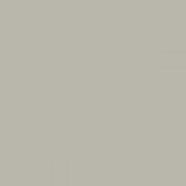 British Standard BS 4800 12-B-19 Beige