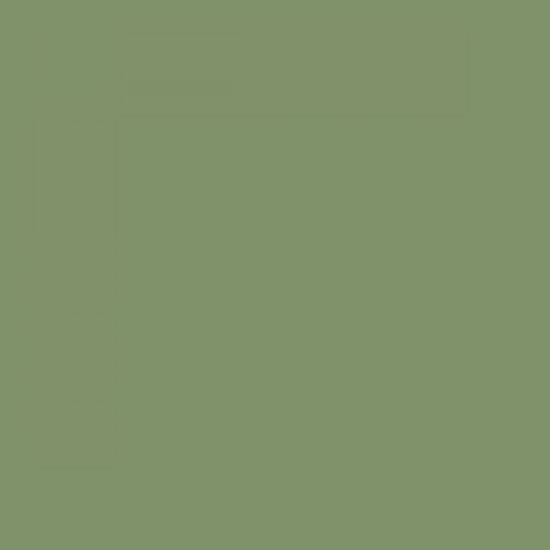 British Standard BS 4800 12-B-23 Green