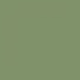 British Standard BS 4800 12-B-23 Green