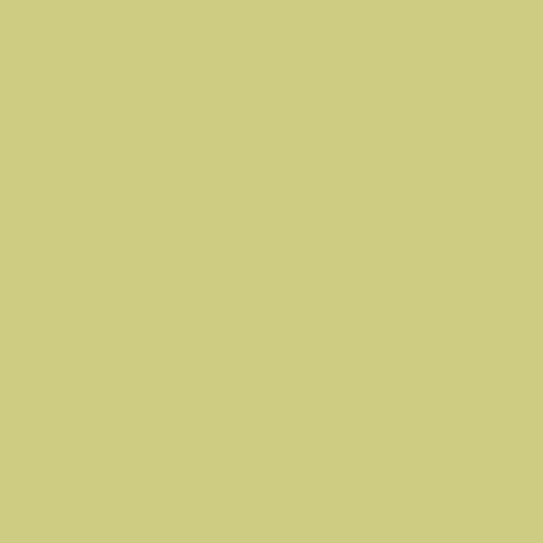 British Standard BS 4800 12-C-33 Catkin