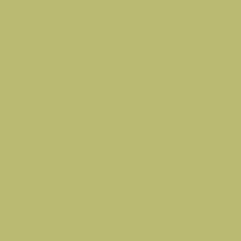 Load image into Gallery viewer, British Standard BS 4800 12-C-35 Green