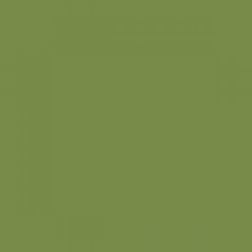 British Standard BS 4800 12-C-37 Green