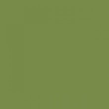 Load image into Gallery viewer, British Standard BS 4800 12-C-37 Green