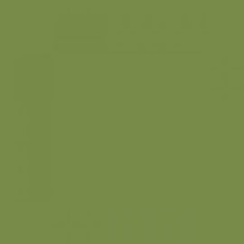 British Standard BS 4800 12-C-37 Green