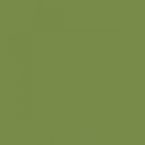 British Standard BS 4800 12-C-37 Green
