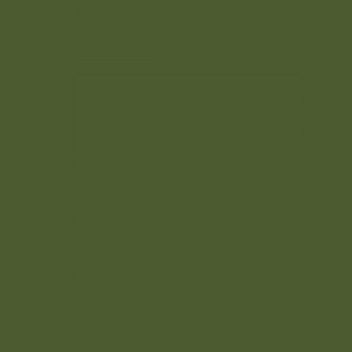 British Standard BS 4800 12-C-39 Orchard