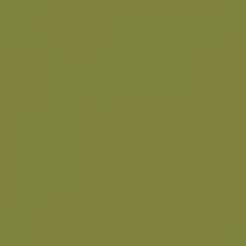 British Standard BS 4800 12-D-44 Green