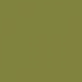 British Standard BS 4800 12-D-44 Green