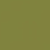 British Standard BS 4800 12-D-44 Green