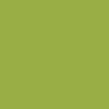 British Standard BS 4800 12-E-53 Linden