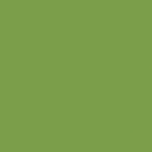 Load image into Gallery viewer, British Standard BS 4800 12-E-55 Green
