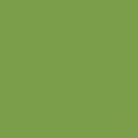 British Standard BS 4800 12-E-55 Green
