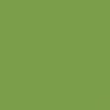 British Standard BS 4800 12-E-55 Green