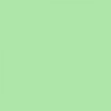 British Standard BS 4800 14-C-33 Green