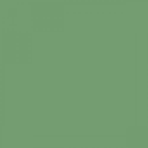 British Standard BS 4800 14-D-41 Green