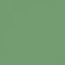 Load image into Gallery viewer, British Standard BS 4800 14-D-41 Green