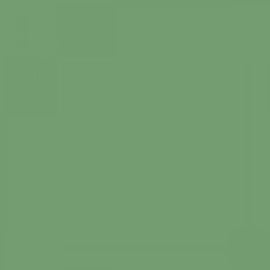 British Standard BS 4800 14-D-41 Green
