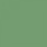British Standard BS 4800 14-D-41 Green