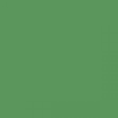 British Standard BS 4800 14-D-43 Green