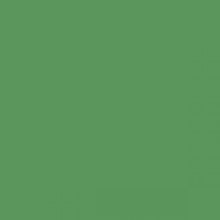 Load image into Gallery viewer, British Standard BS 4800 14-D-43 Green