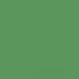 British Standard BS 4800 14-D-43 Green