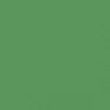 British Standard BS 4800 14-D-43 Green
