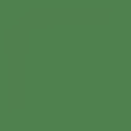 British Standard BS 4800 14-D-44 Green