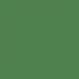 British Standard BS 4800 14-D-44 Green
