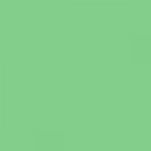 British Standard BS 4800 14-E-50 Green