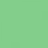 British Standard BS 4800 14-E-50 Green