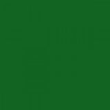 British Standard BS 4800 14-E-56 Green