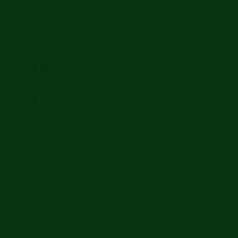 British Standard BS 4800 14-E-58 Green