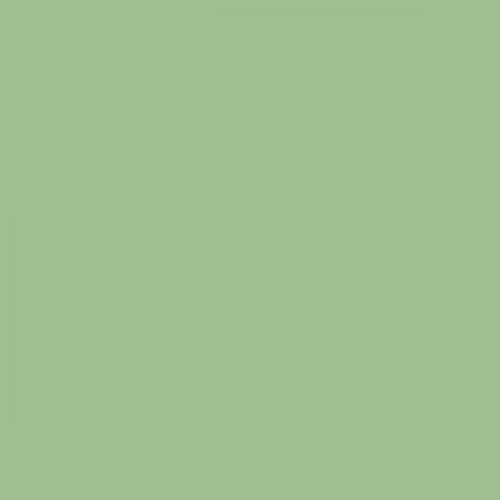 British Standard BS 4800 16-C-35 Green