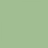 British Standard BS 4800 16-C-35 Green