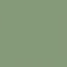 British Standard BS 4800 16-C-37 Green