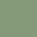 British Standard BS 4800 16-C-37 Green