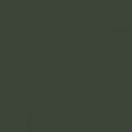 British Standard BS 4800 16-C-39 Green