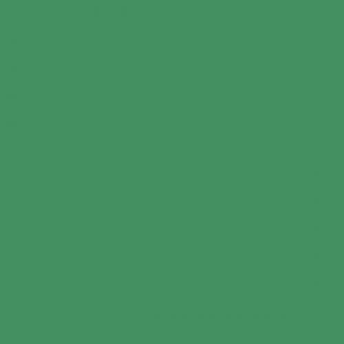 British Standard BS 4800 16-D-43 Green