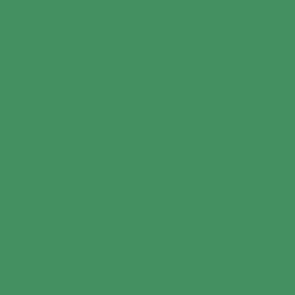 British Standard BS 4800 16-D-43 Green