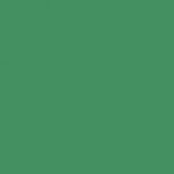 British Standard BS 4800 16-D-43 Green
