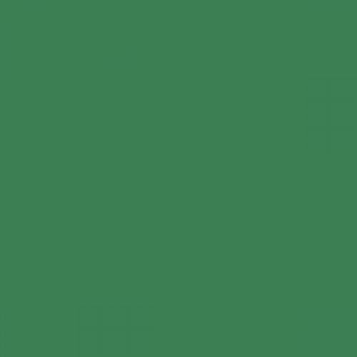 British Standard BS 4800 16-D-44 Green