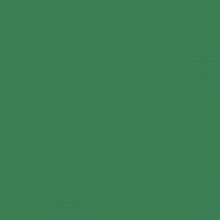 Load image into Gallery viewer, British Standard BS 4800 16-D-44 Green