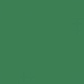 British Standard BS 4800 16-D-44 Green