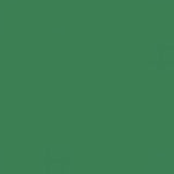 British Standard BS 4800 16-D-44 Green