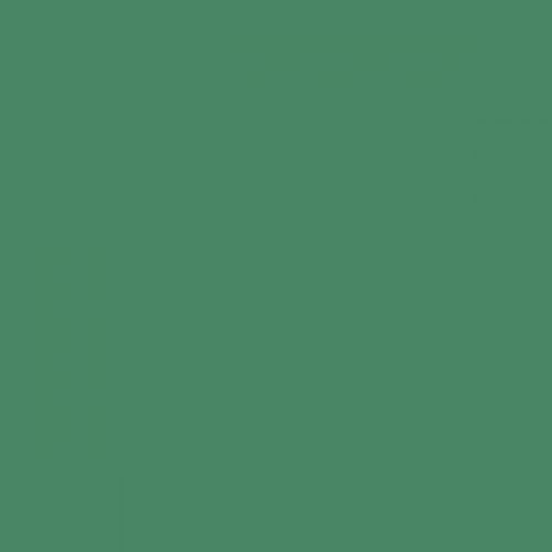 British Standard BS 4800 16-E-56 Green