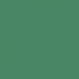British Standard BS 4800 16-E-56 Green