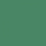 British Standard BS 4800 16-E-56 Green